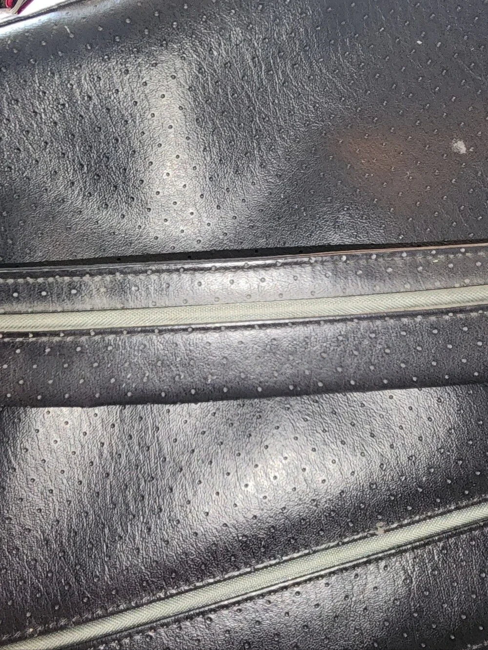 Bose carrying travel bag